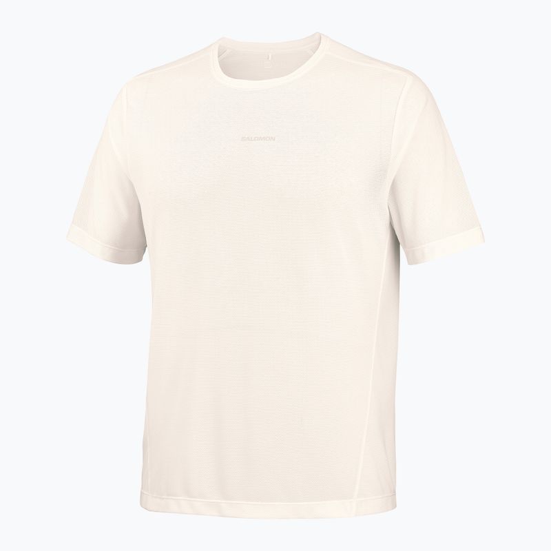 Maglia da corsa da uomo Salomon Shakeout Core GFX SS Tee whisper white/pink frosting 5