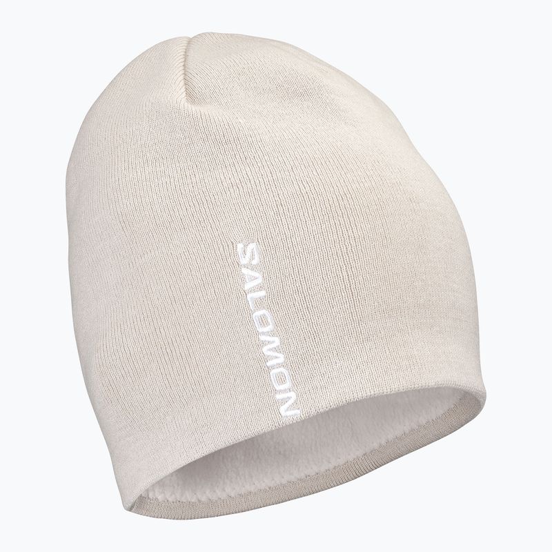 Cappello invernale Salomon Graphic silver cloud