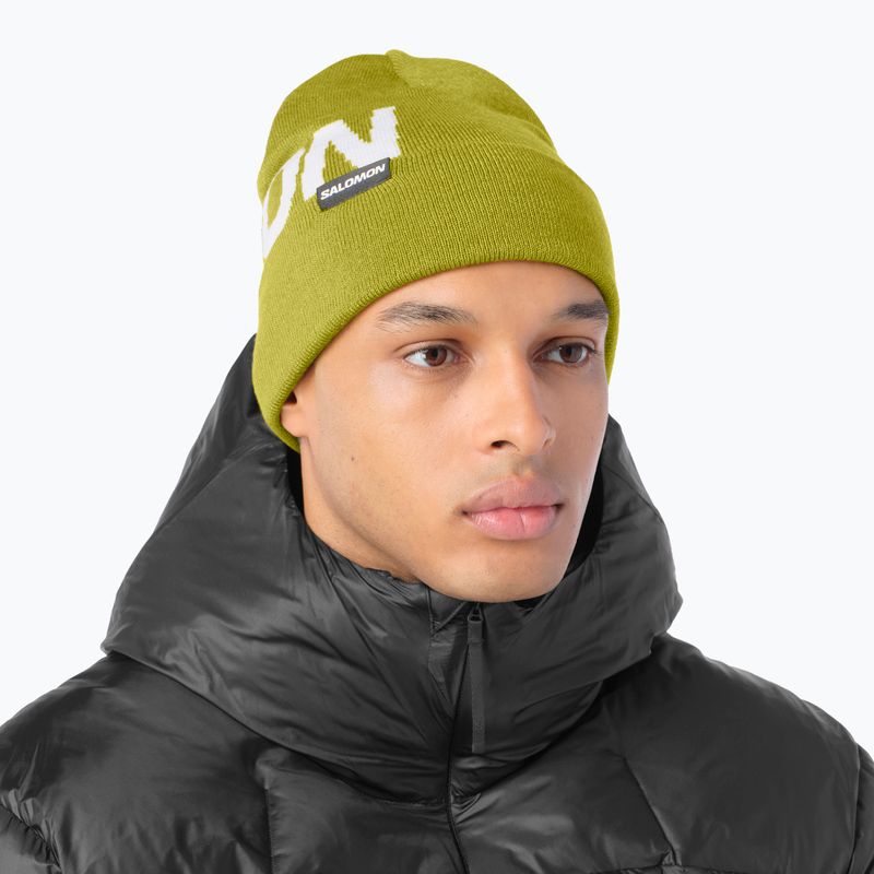 Cappello invernale Salomon Hermitage cardamon seed 2