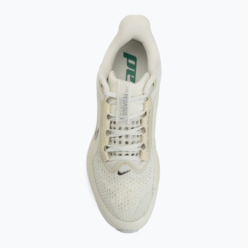 Scarpe da running da donna Nike Pegasus Premium sea glass/malachite/metallic silver 5
