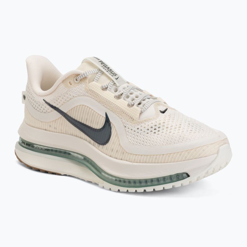 Scarpe da running da uomo Nike Pegasus Premium Pale ivory/jade horizon/black spruce