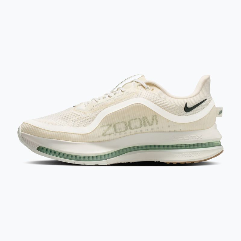 Scarpe da running da uomo Nike Pegasus Premium Pale ivory/jade horizon/black spruce 2