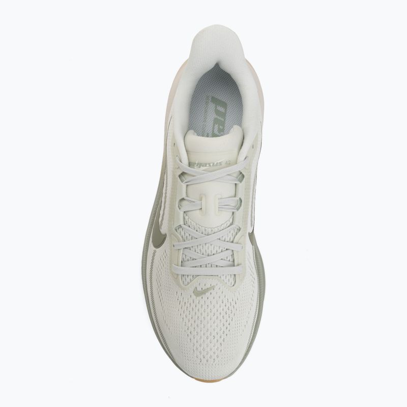Scarpe da running da uomo Nike Pegasus 42 spruce aura/pale ivory/jade horizon 5