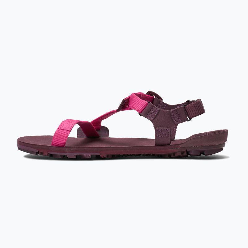 Sandali barefoot da donna Xero Shoes Z-Trail EV fuchsia purple 2