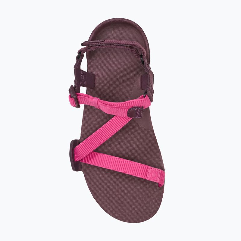 Sandali barefoot da donna Xero Shoes Z-Trail EV fuchsia purple 5