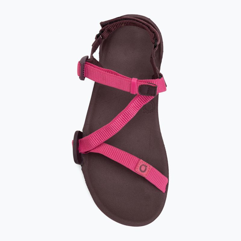 Sandali barefoot da donna Xero Shoes Z-Trail EV fuchsia purple 5