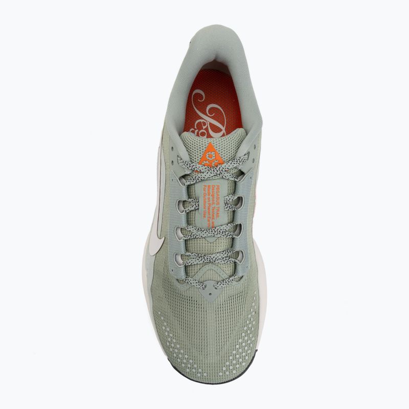 Scarpe da running da uomo Nike ACG Pegasus Trail jade horizon/light silver/phantom 5