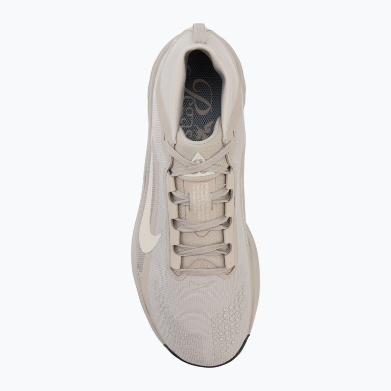 Scarpe da corsa uomo Nike ACG Pegasus Trail GORE-TEX Cream Ii/Light Orewood Brown 5
