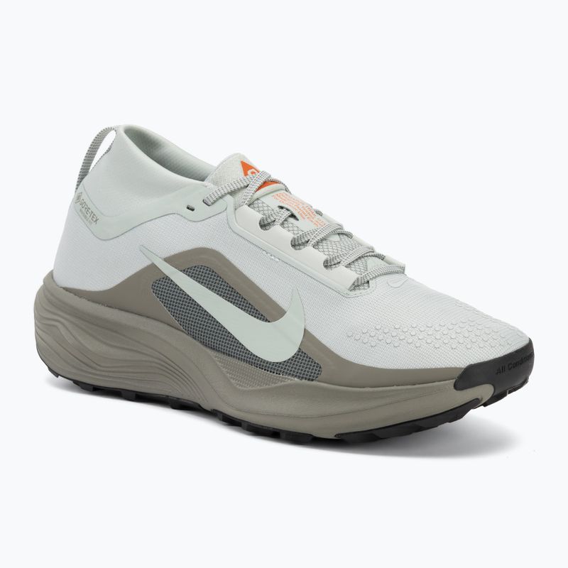 Scarpe da corsa uomo Nike ACG Pegasus Trail GORE-TEX Light Silver/Light Army/Light Silver