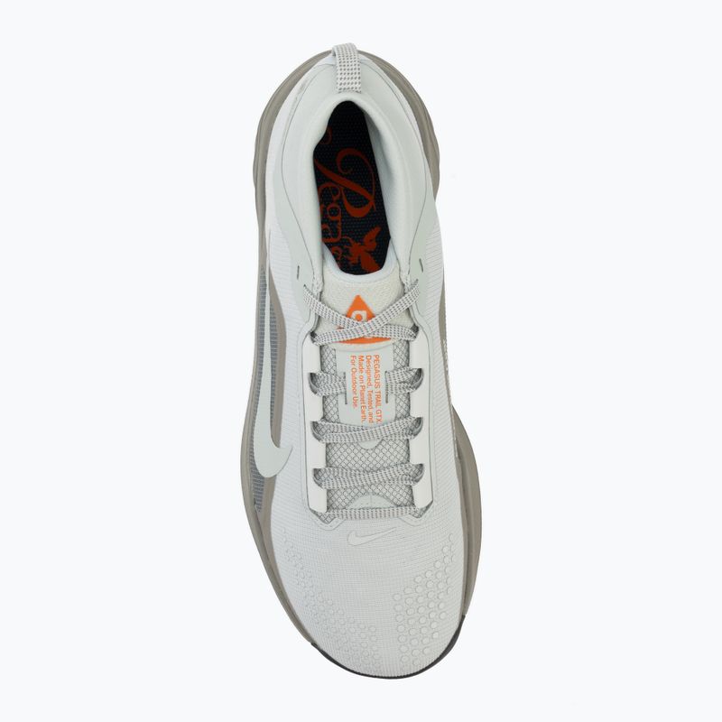 Scarpe da corsa uomo Nike ACG Pegasus Trail GORE-TEX Light Silver/Light Army/Light Silver 5