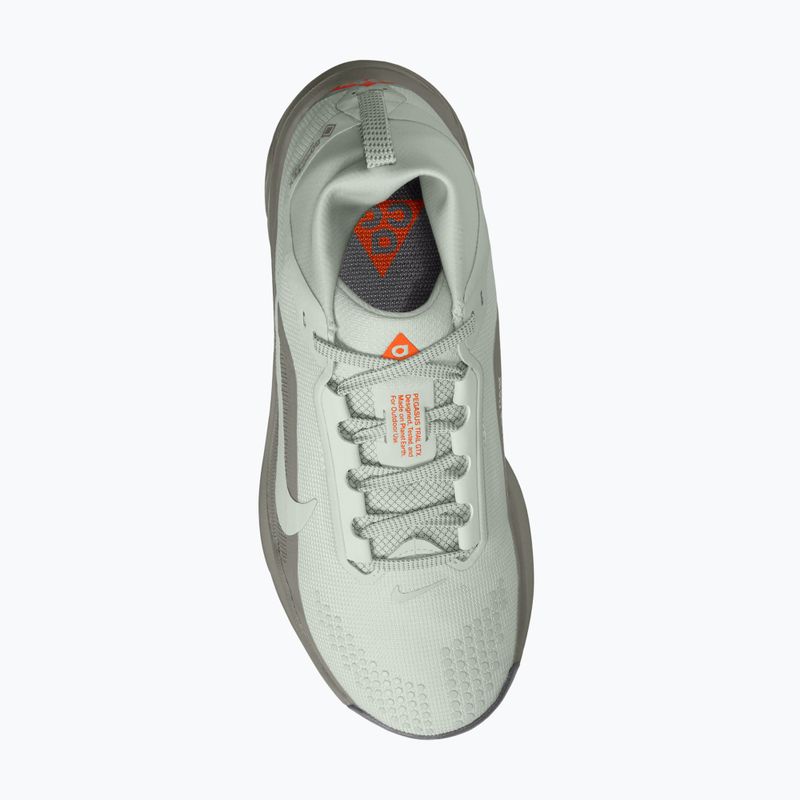 Scarpe da corsa donna Nike ACG Pegasus Trail GORE-TEX Light Silver/Light Army/Light Silver 4