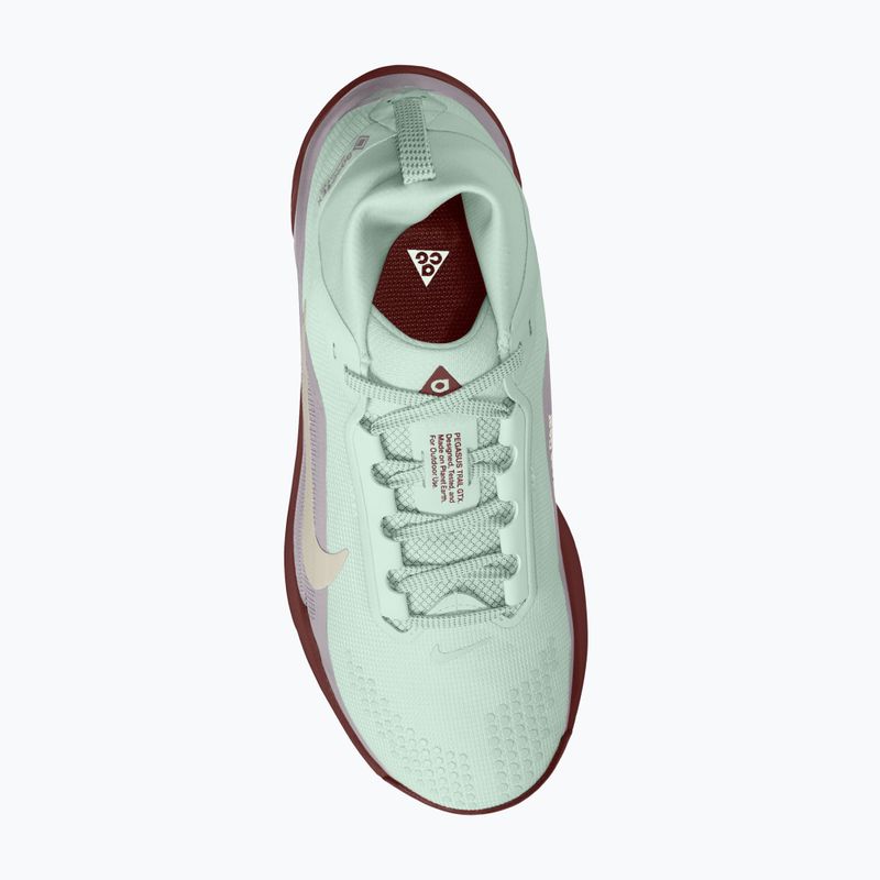 Scarpe da corsa donna Nike ACG Pegasus Trail GORE-TEX Barely Green/Silver Lilac/Light Bone 4
