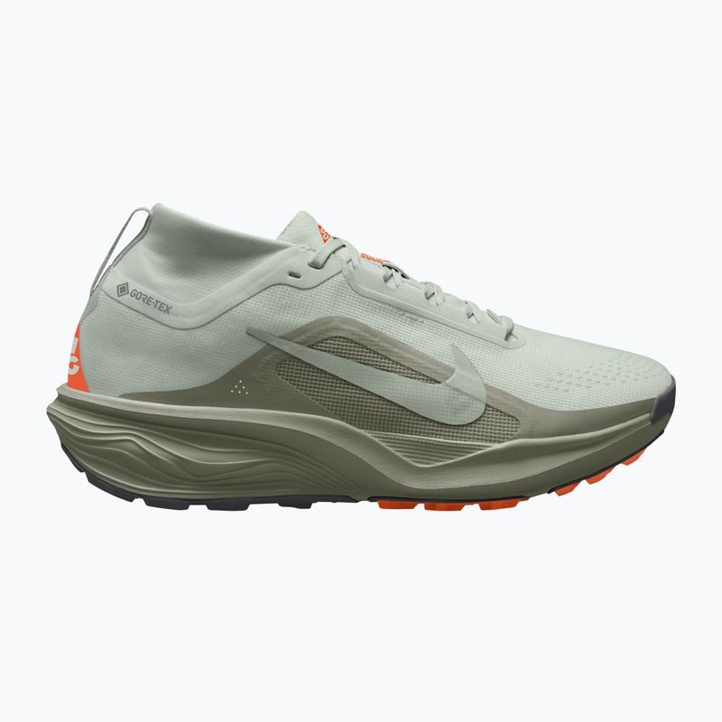 Scarpe da corsa uomo Nike ACG Pegasus Trail GORE-TEX Light Silver/Light Army/Light Silver