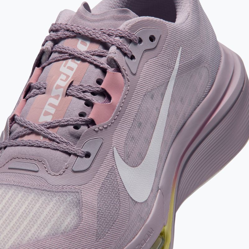 Scarpe da corsa donna Nike Pegasus Plus 2 silver lilac/particle rose/fennel/sail 5