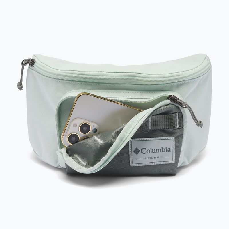 Marsupio cintura Columbia Zigzag II Hip Pack 1 l sedona sage/tea light 4