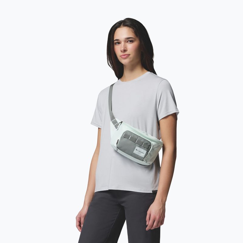 Marsupio cintura Columbia Zigzag II Hip Pack 1 l sedona sage/tea light 5