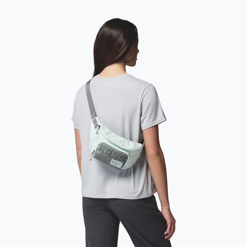 Marsupio cintura Columbia Zigzag II Hip Pack 1 l sedona sage/tea light 6