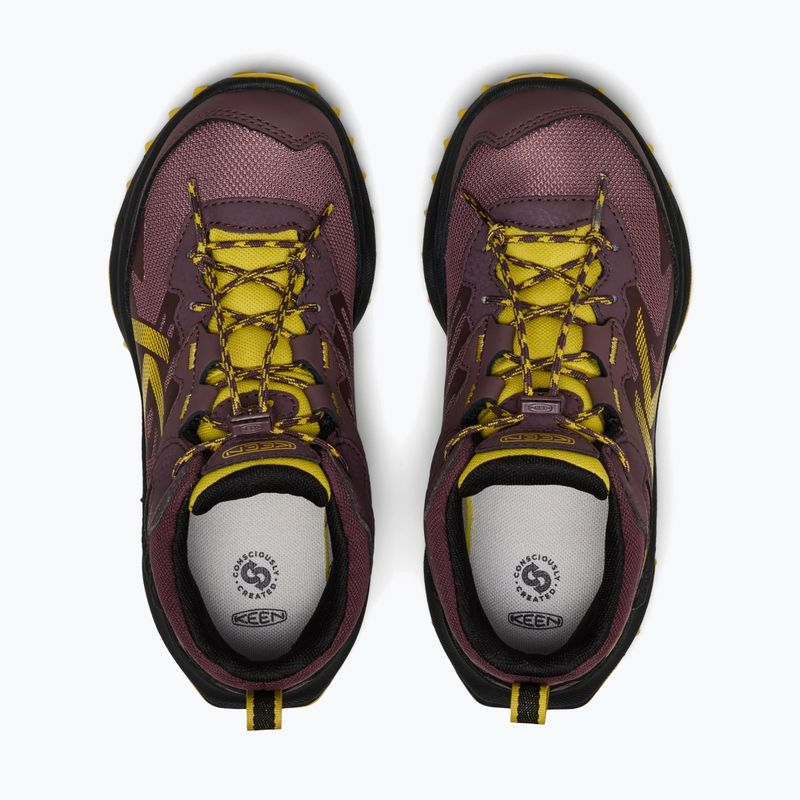 Scarponcini da trekking per bambini KEEN Zionic Mid Wp huckleberry/mango mint 5