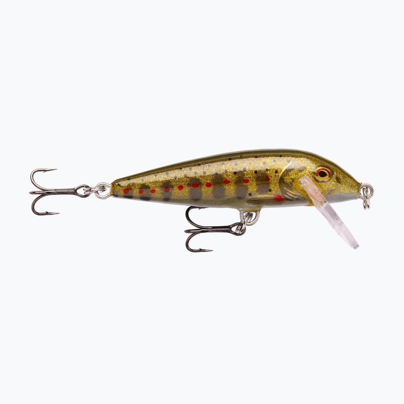 Rapala Countdown gold trota giovane wobbler
