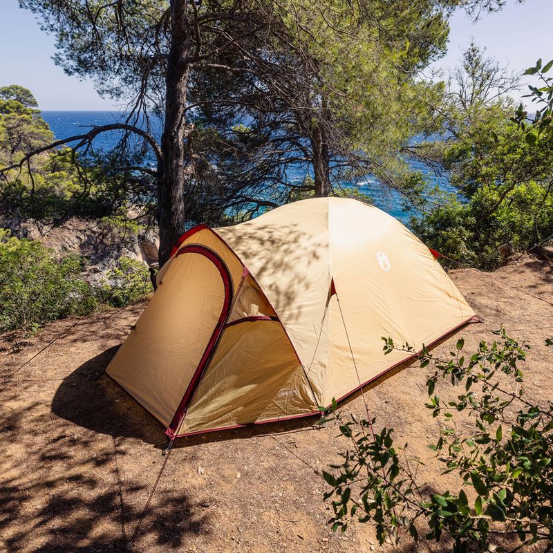 Tenda da campeggio 3 posti Coleman Darwin Summer 3 + beige 8