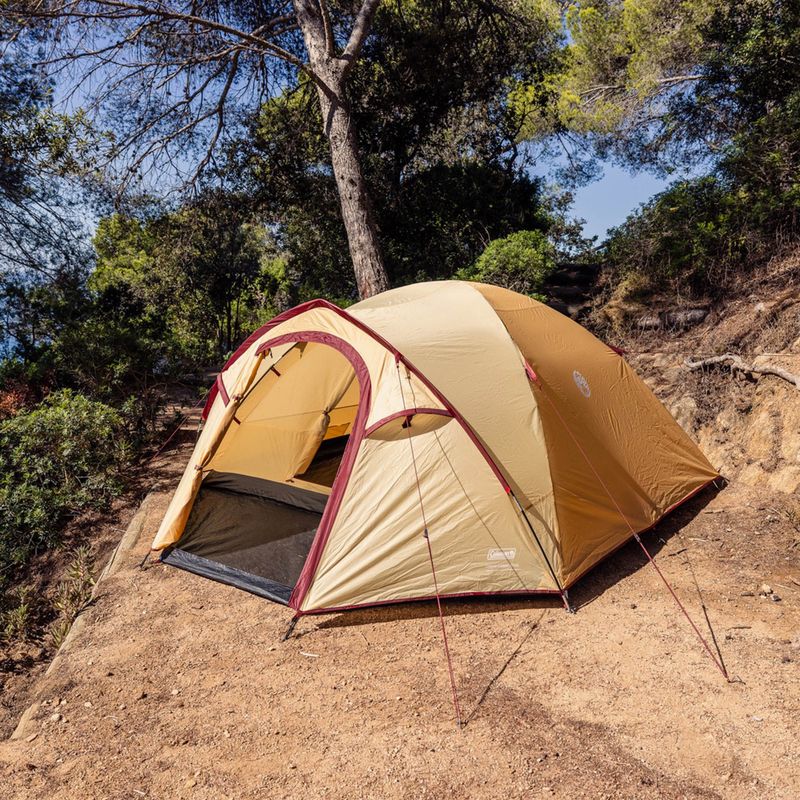 Tenda da campeggio 4 posti Coleman Darwin Summer 4 + beige 8