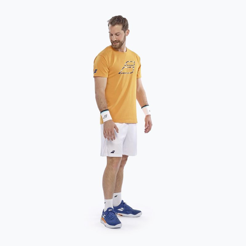 Maglietta da uomo Babolat Exercise Big Flag autumn glory 2