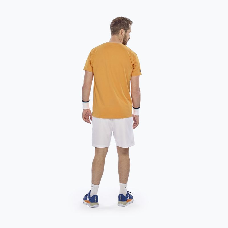 Maglietta da uomo Babolat Exercise Big Flag autumn glory 3