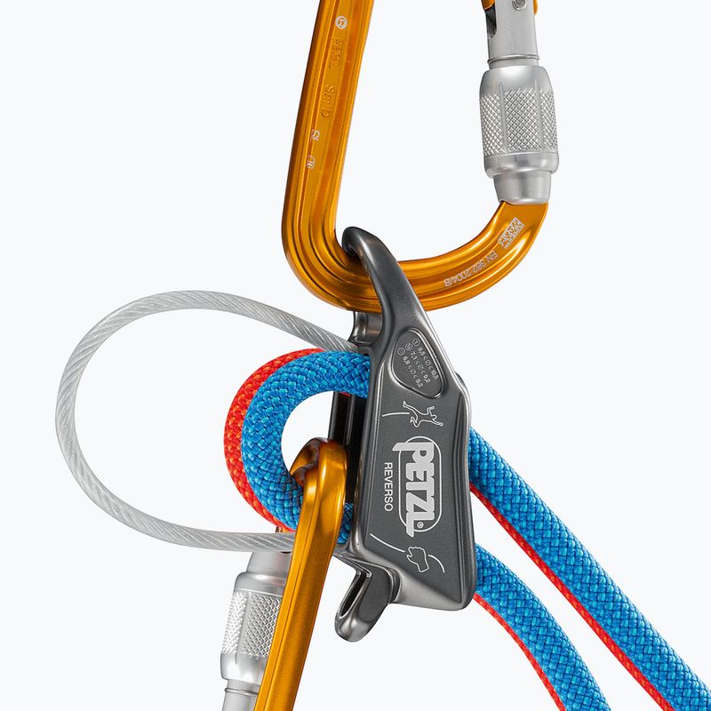 Apparecchio di assicurazione Petzl Reverso grigio 4
