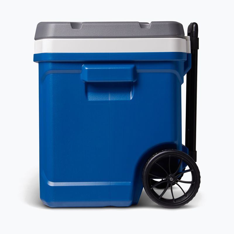 Frigorifero portatile Igloo Latitude 60 Qt 56 l indigo blue 3