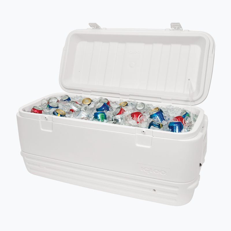 Igloo Polar 120 Qt 113 l frigorifero da viaggio bianco 6