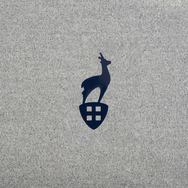 T-shirt da uomo Aulp Tommy grey/melange 6