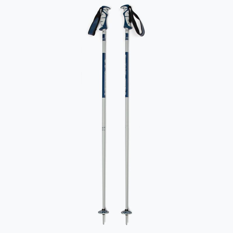 Bastoncini da sci Dynastar Vector 4 grigio/blu