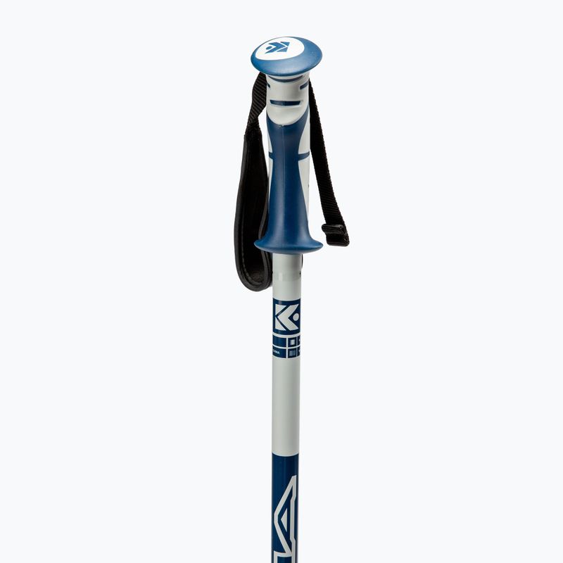 Bastoncini da sci Dynastar Vector 4 grigio/blu 3