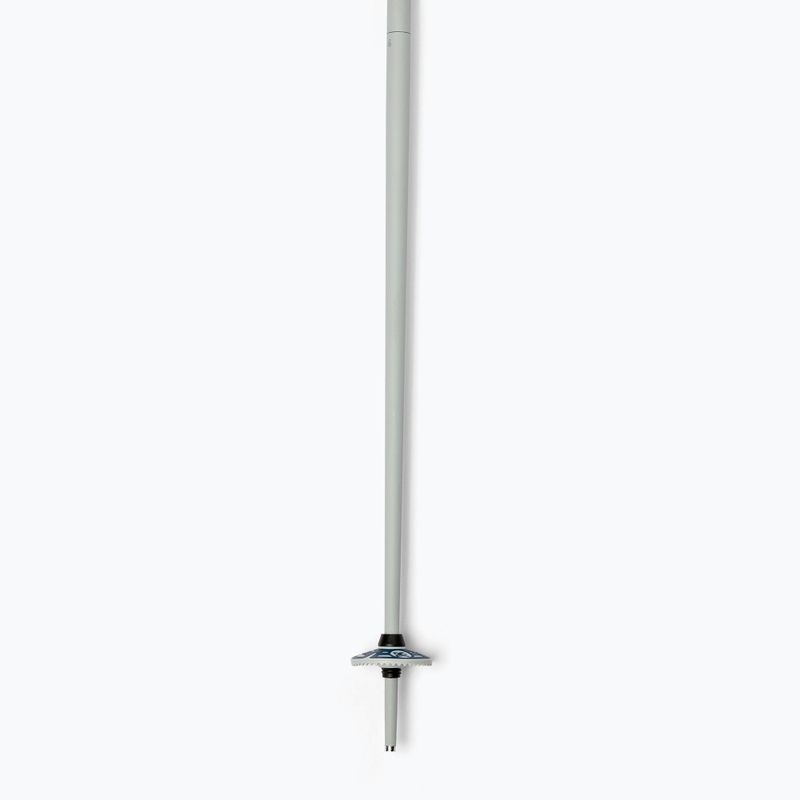 Bastoncini da sci Dynastar Vector 4 grigio/blu 4