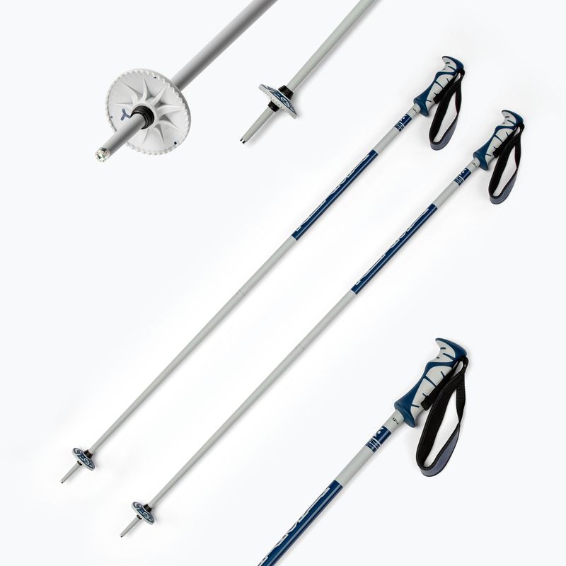 Bastoncini da sci Dynastar Vector 4 grigio/blu 6