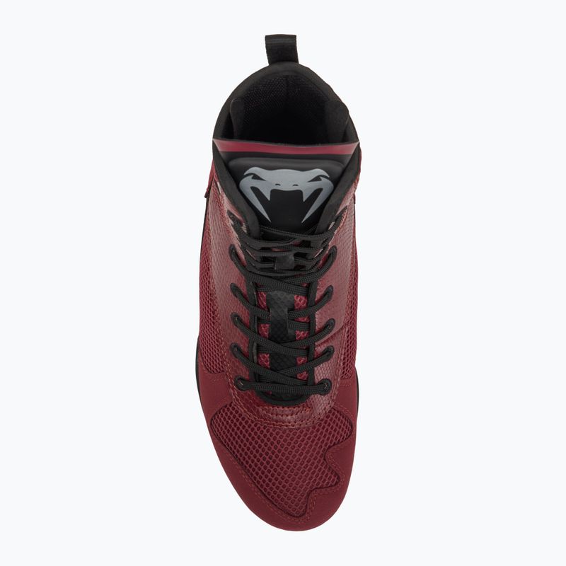 Scarpe da boxe Venum Elite, vino, mele e logo argento 5