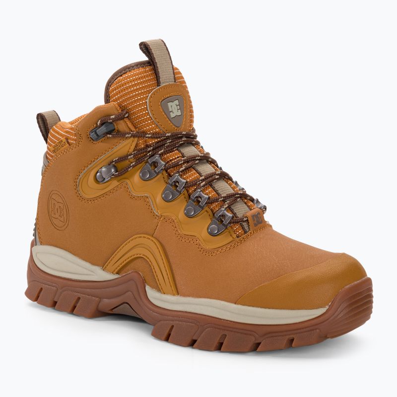 Scarpe da uomo DC Navigator Winter grano/cioccolato scuro