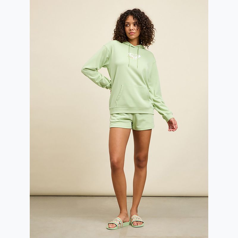 Infradito da donna ROXY Slippy II a righe verdi 4