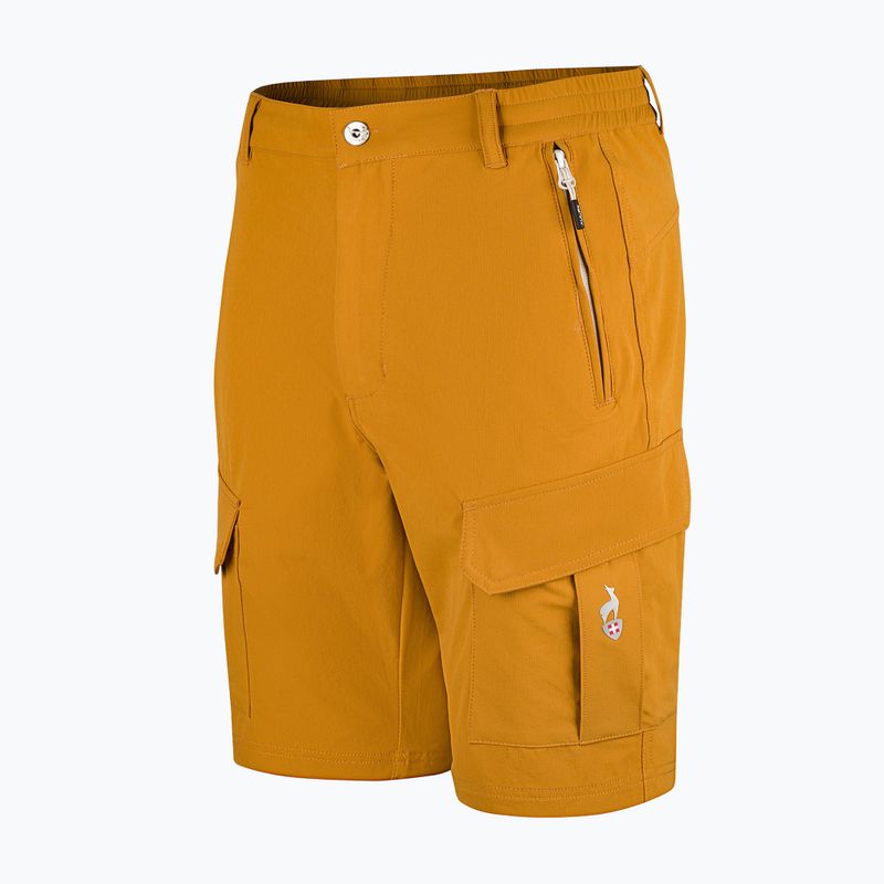 Pantaloncini da trekking da uomo Aulp Banco kombucha 5