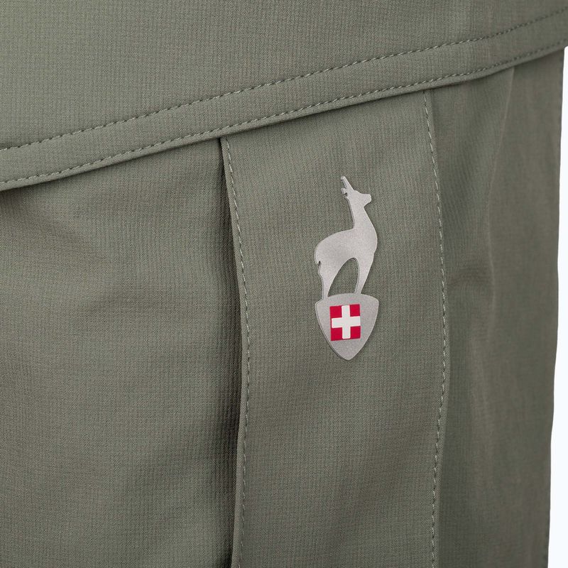 Pantaloncini da trekking da uomo Aulp Banco lichen 7