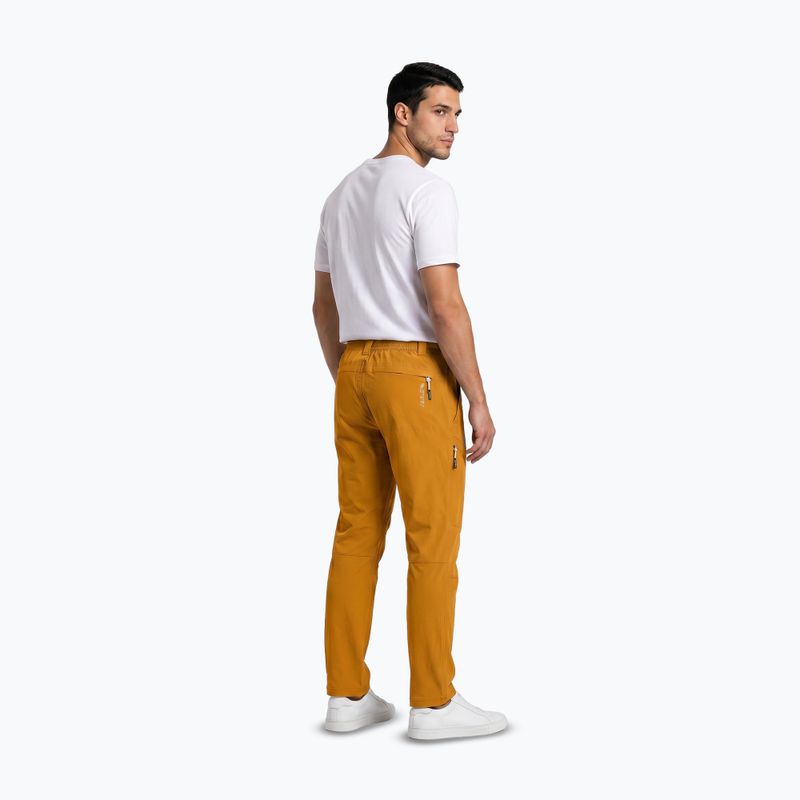 Pantaloni da trekking da uomo Aulp Brady kombucha 3