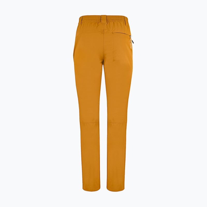 Pantaloni da trekking da uomo Aulp Brady kombucha 7