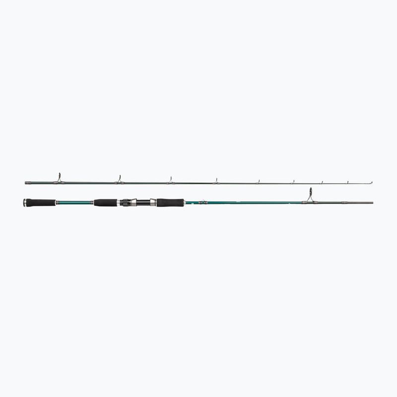 Canna Abu Garcia Beast X Pike 842 H