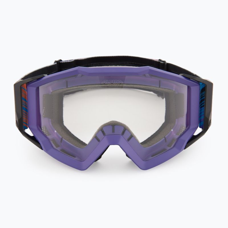 Occhiali da sole Alpina 2