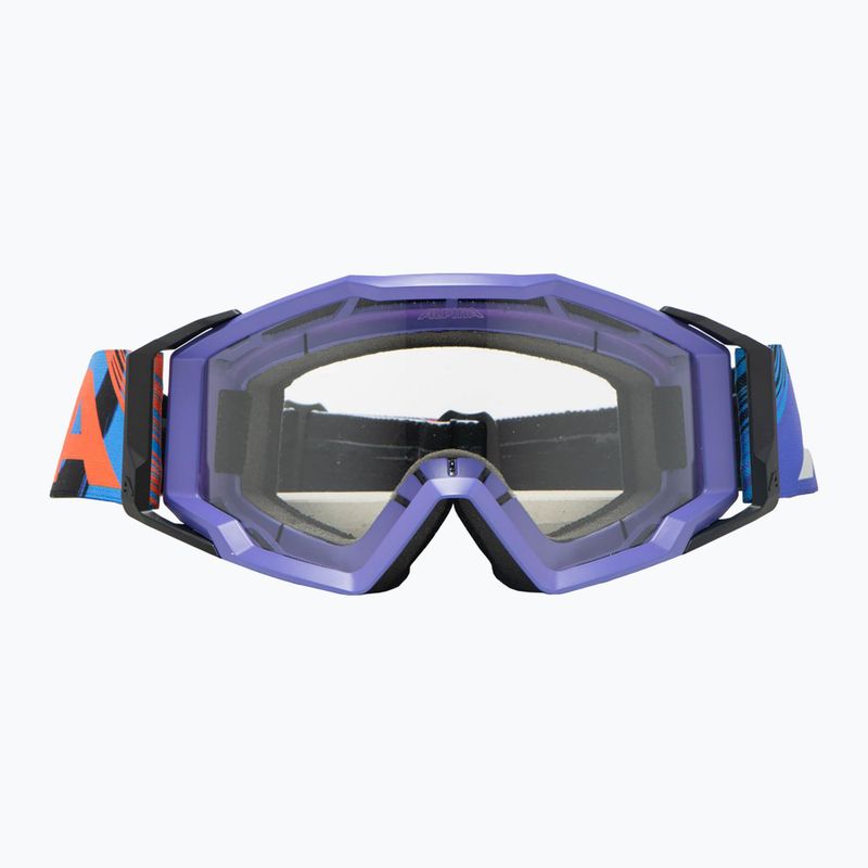 Occhiali da sole Alpina 2