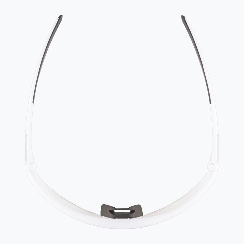 Occhiali da sole Alpina 6