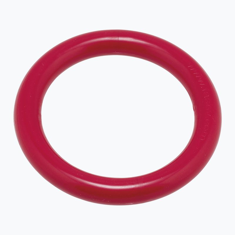 Giocattolo subacqueo Fashy 4204 anello rosso