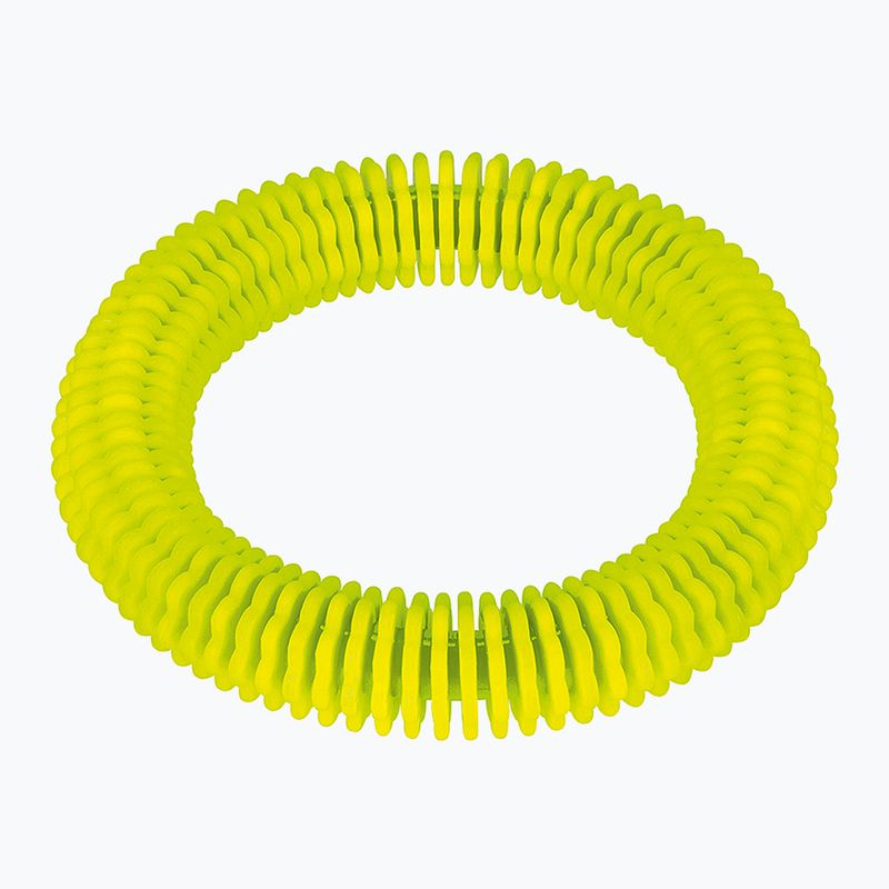 Fashy 4200 anello pinna giocattolo subacqueo verde neon