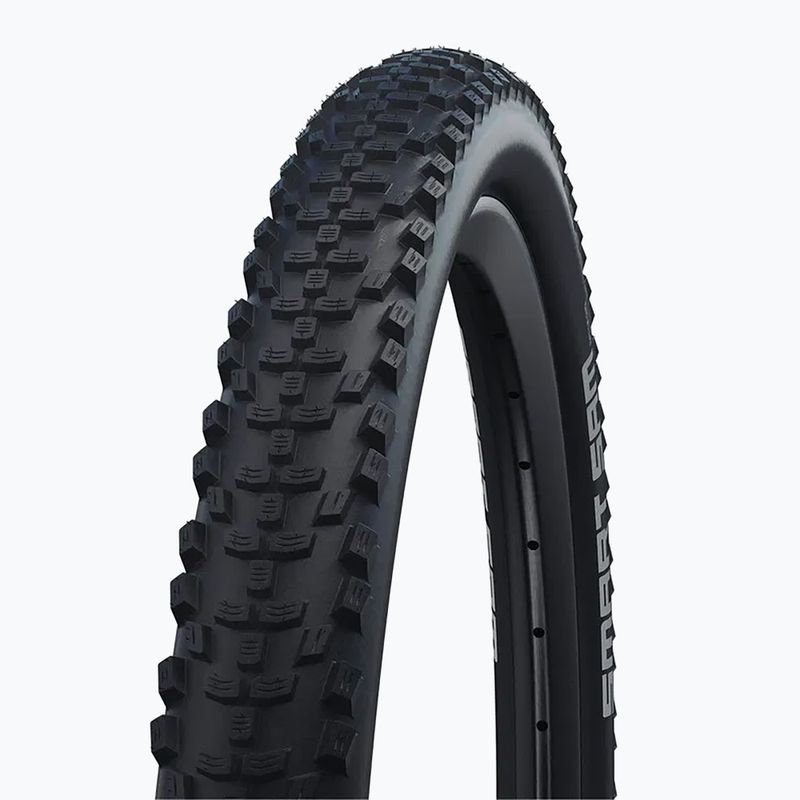 Pneumatico per bicicletta SCHWALBE Rabid Rob K-Guard SBC 26 x 2,25 nero