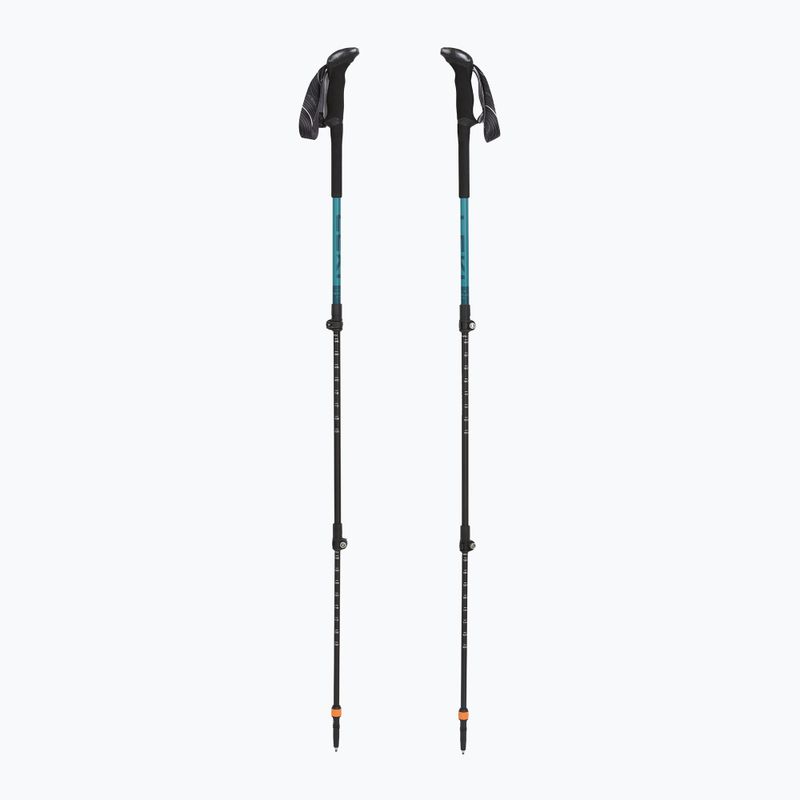 Bastoncini da trekking LEKI Makalu Lite AS greenblue light/greenblue dark